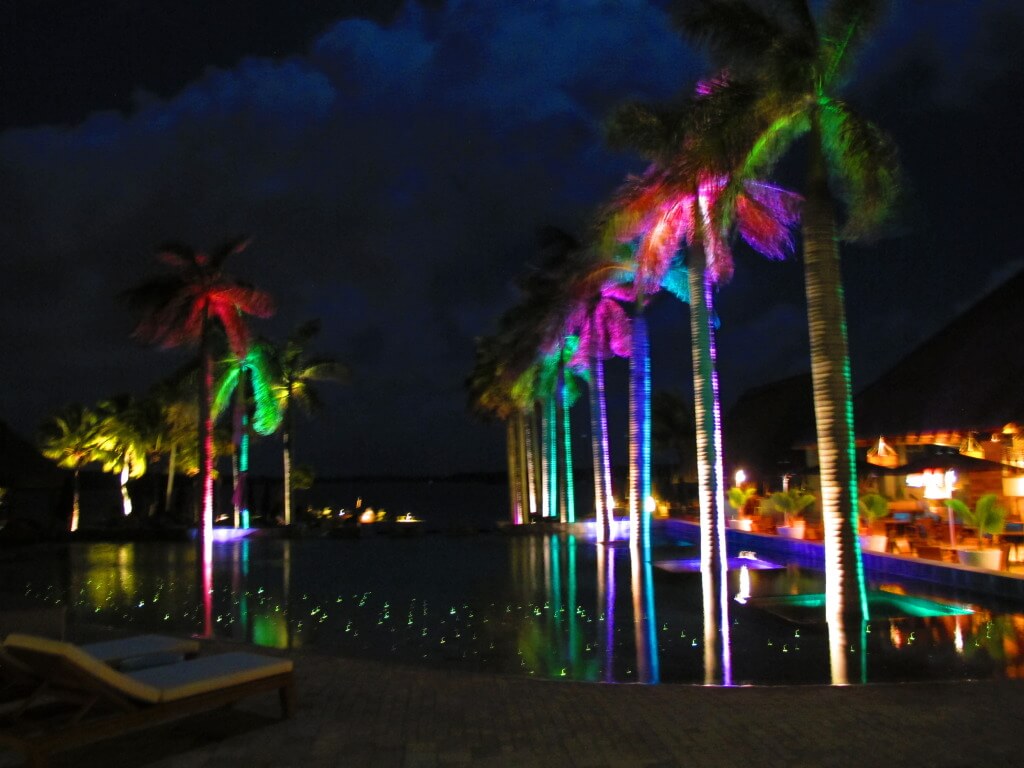Palm Trees at Night at the Four Seasons Palm Trees at Night at the Four Seasons
