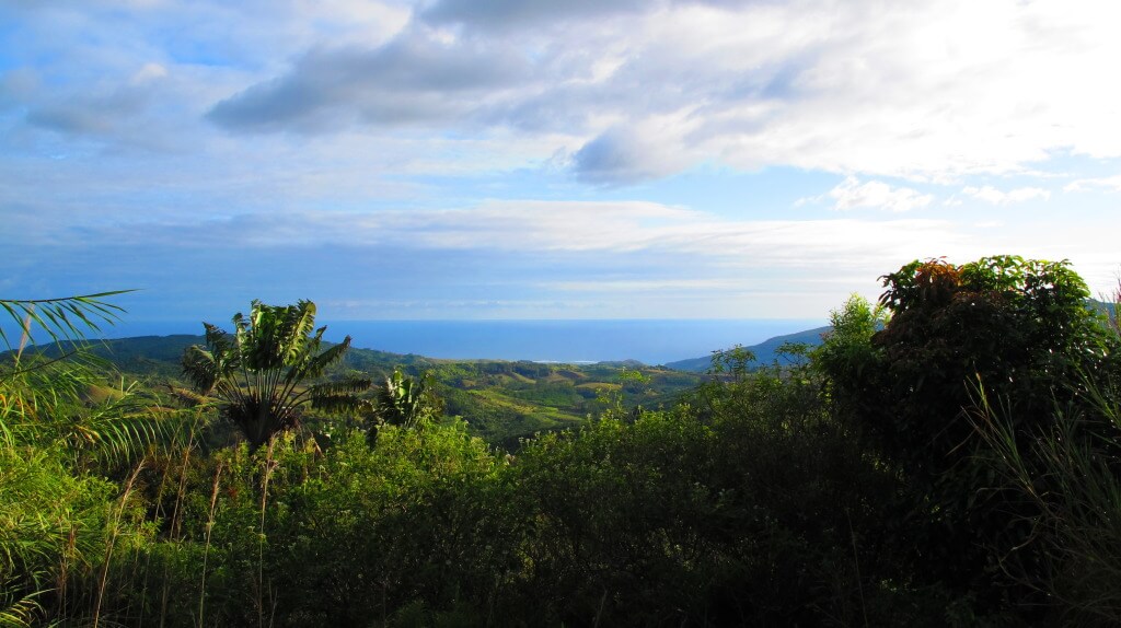 The Indian Ocean ahead The Indian Ocean ahead