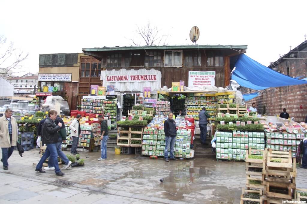 Petfood Market I mistook for the Spice Market