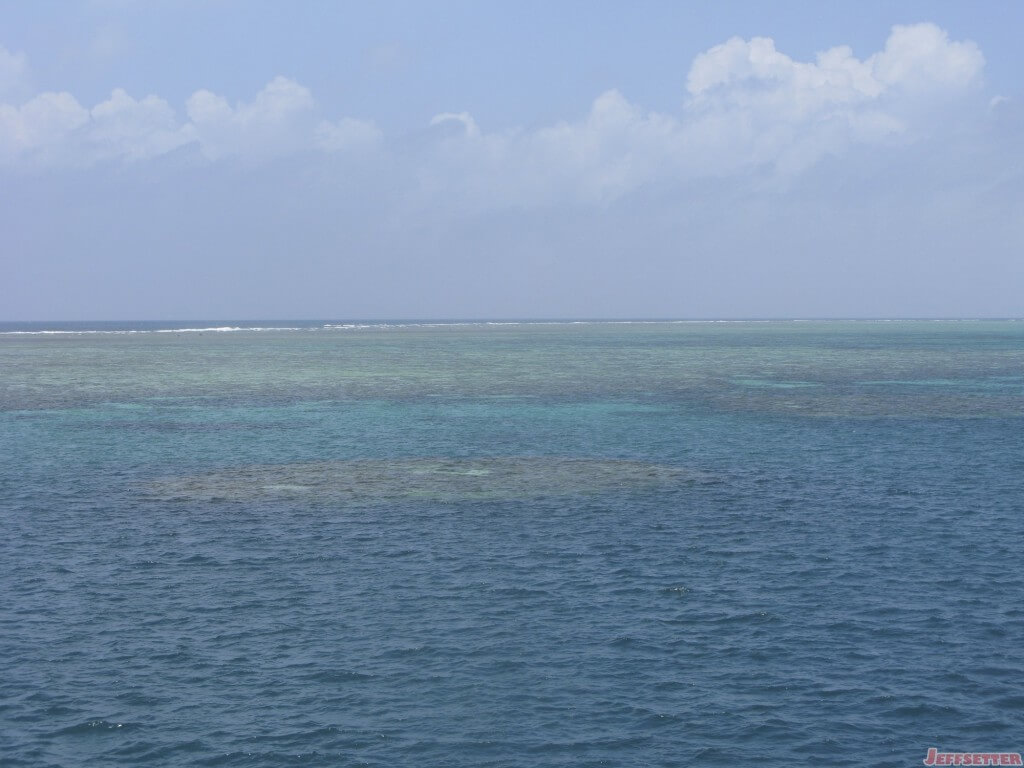 Coral Reefs are wonderful