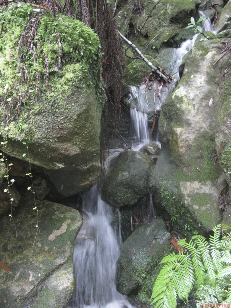 Improv falls