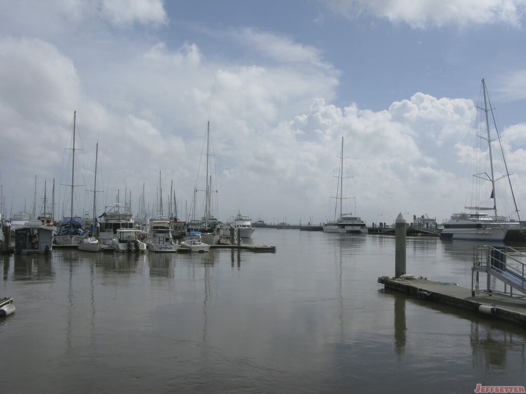 Morning in the harbor