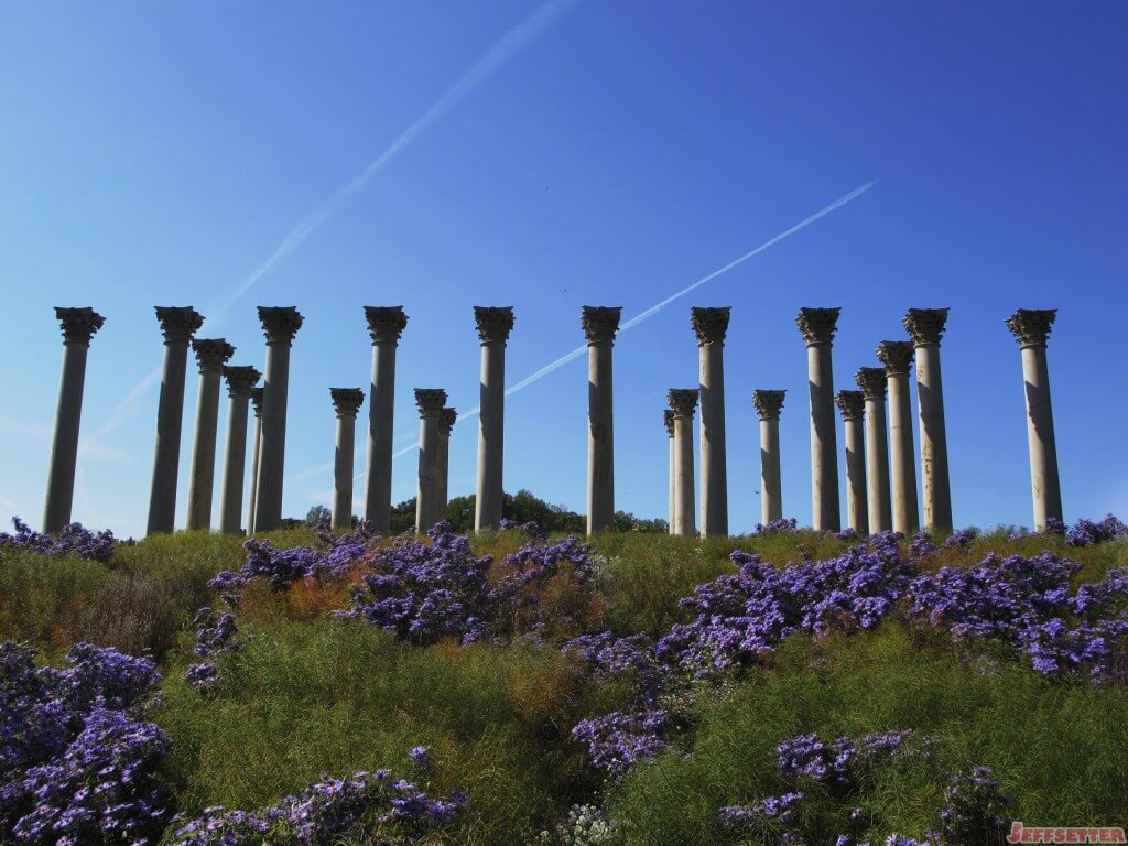 National Arboretum has columns from original National Capitol