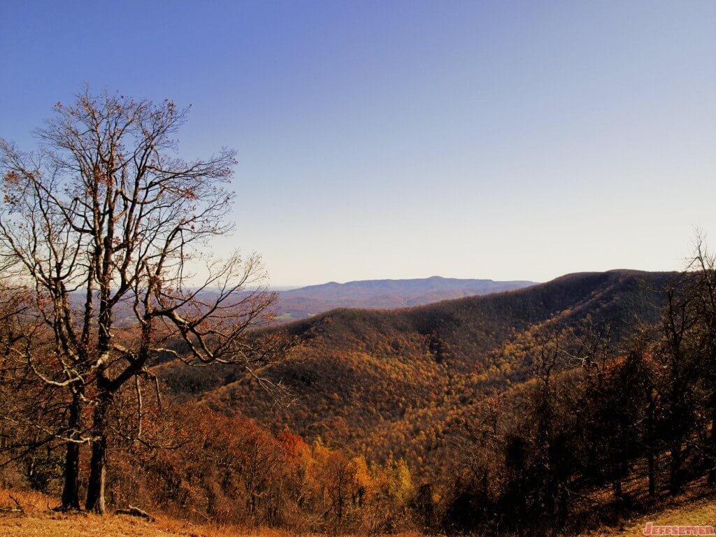 Virginia in the Fall