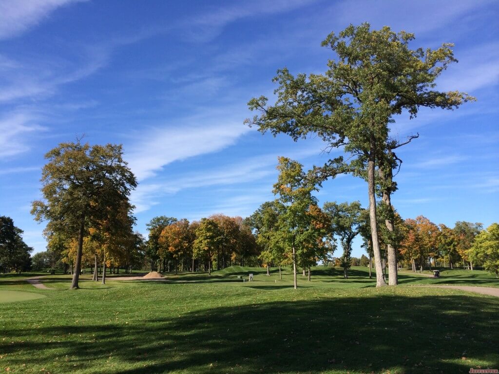 Half of the Leaves Were Starting to Change