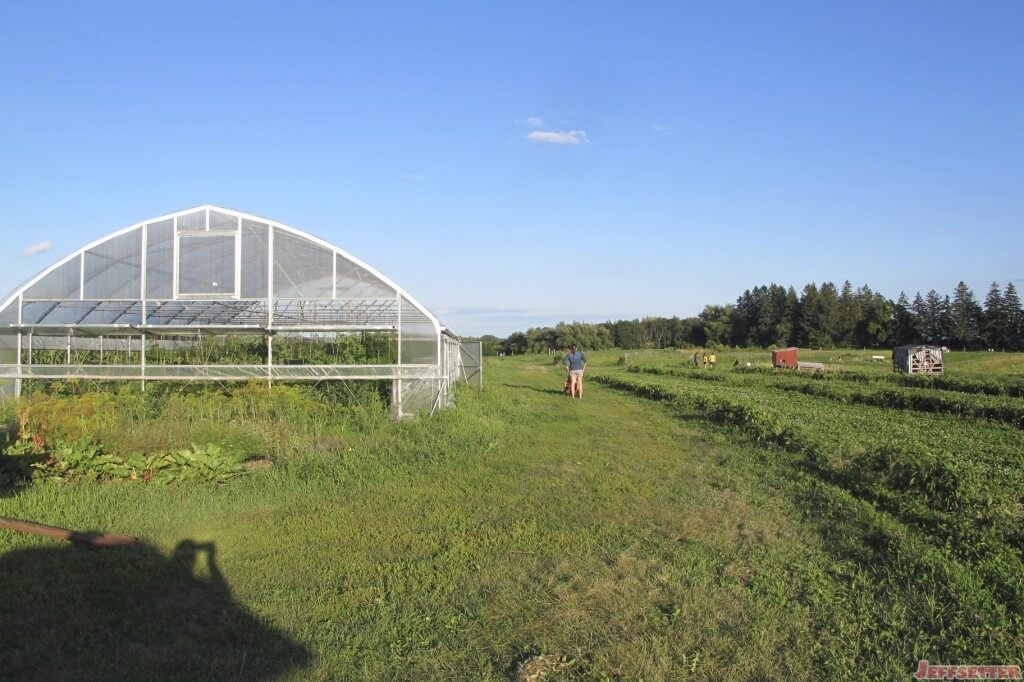 Greenhouse and Farm Area