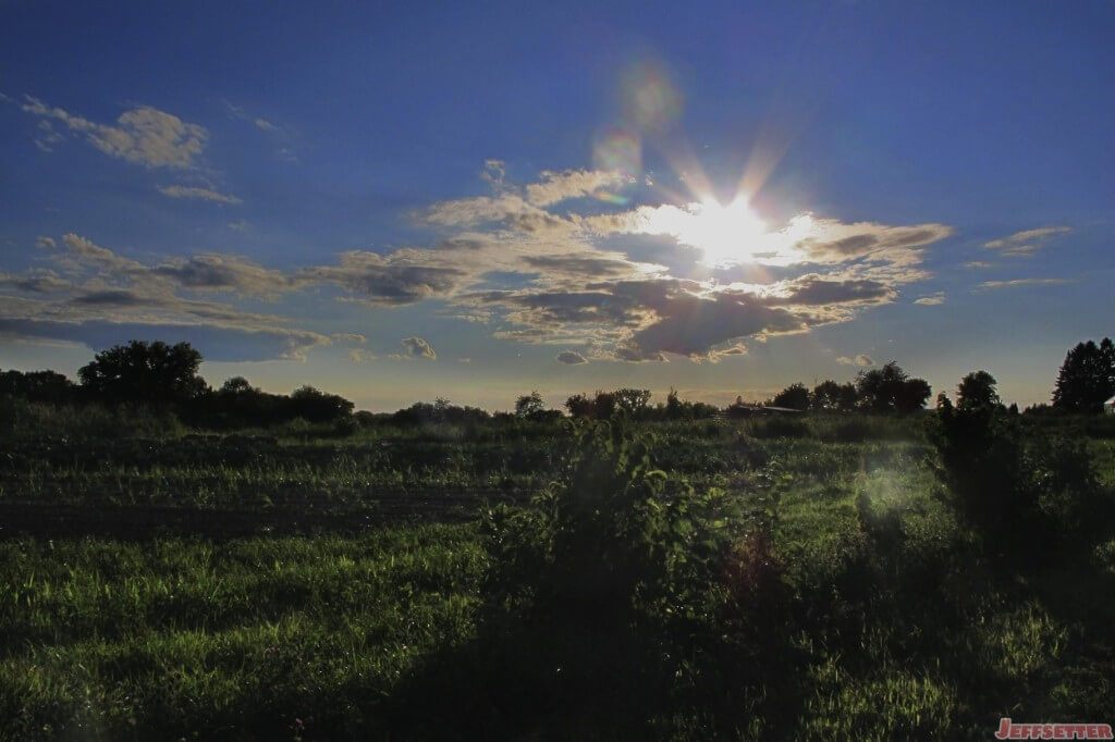 Sun Going Down on the Farm