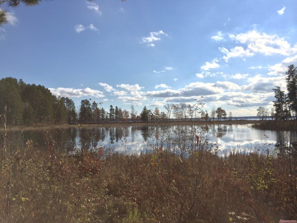 Pond out of direct sunlight