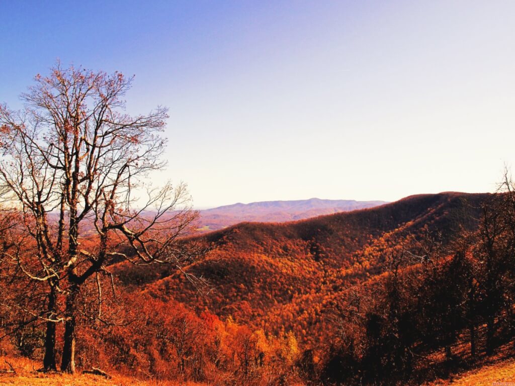 Fall Colors on the Blue Ridge Parkway
