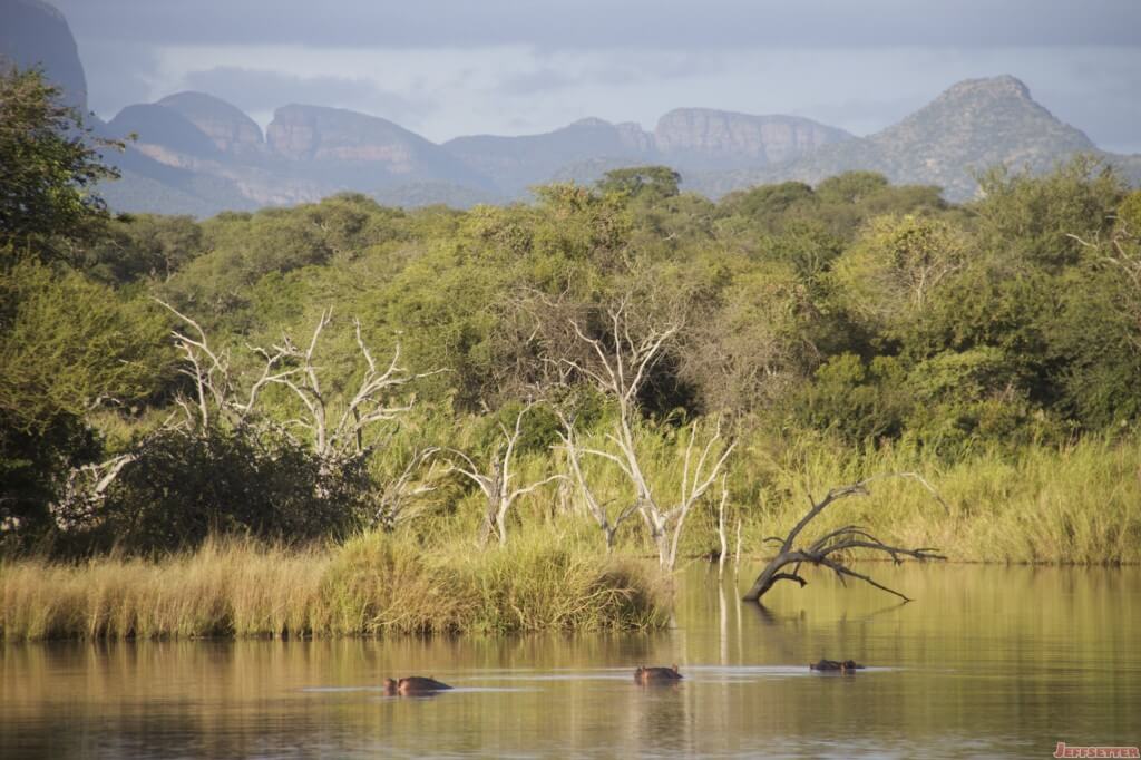 Vuyani Safari 188