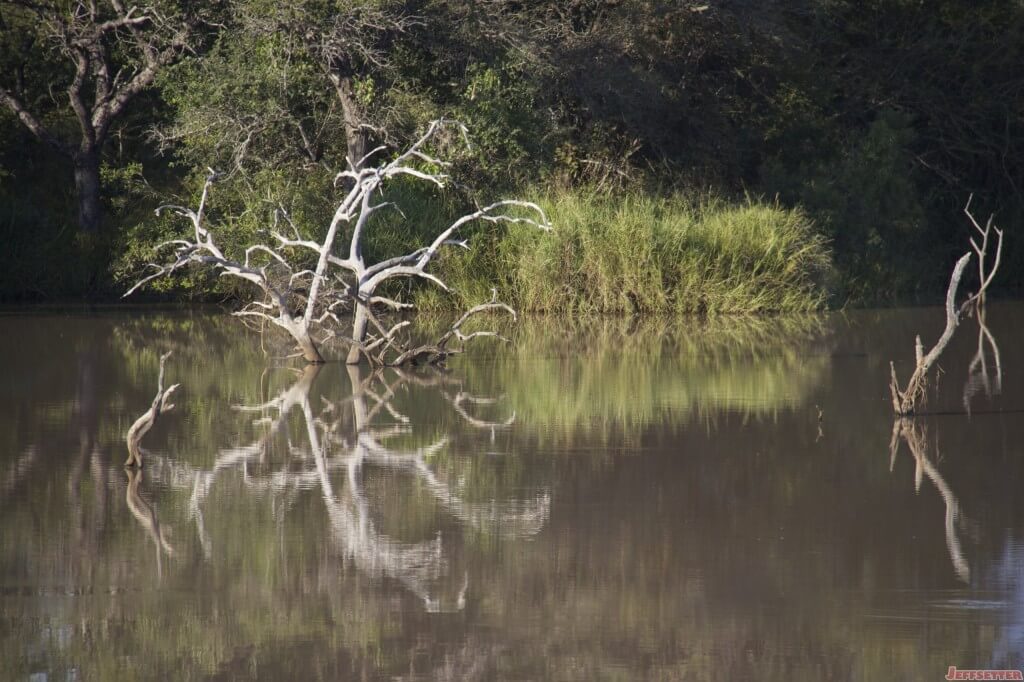 Vuyani Safari 353