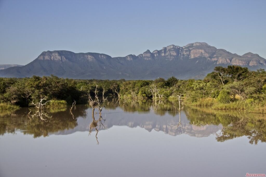 Vuyani Safari 355