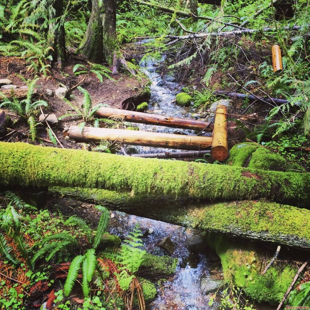 Tiger Mountain Hiking Trail, Washington