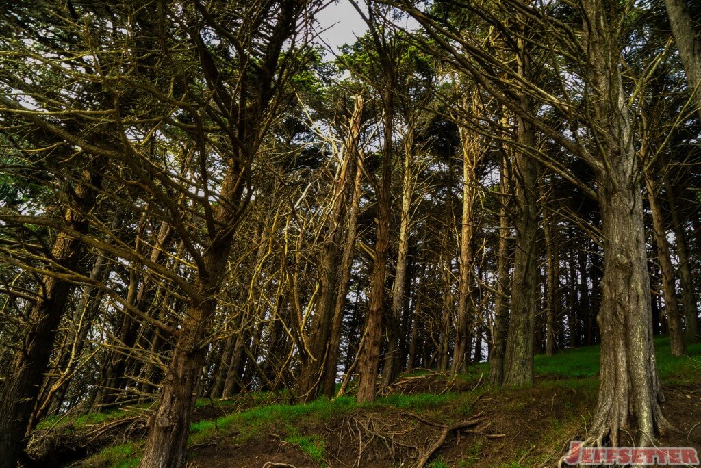 Golden Gate Hike-2