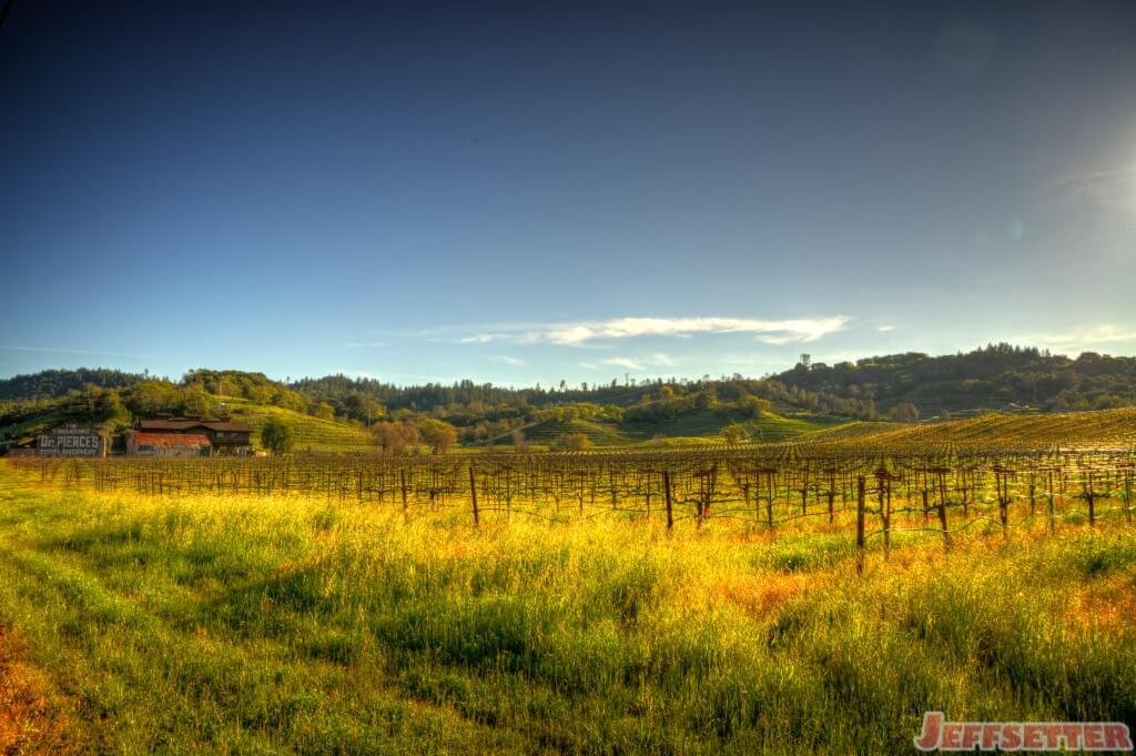 Barn and Farm in Healdsburg