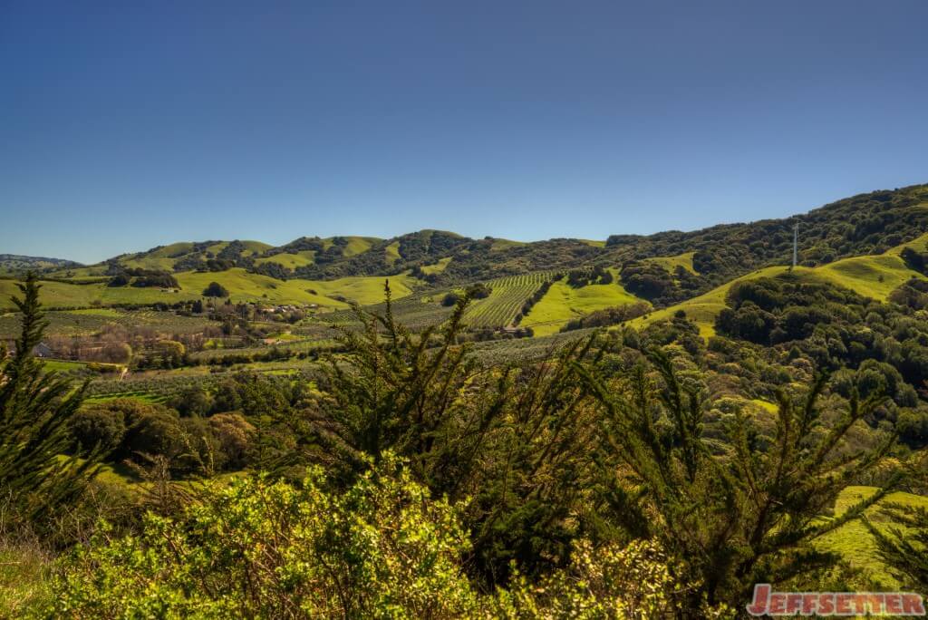 Green Farmland in Marin County