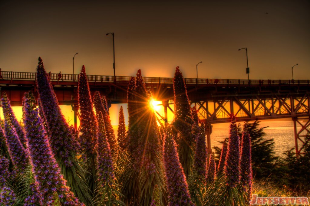 Sun Setting on the Base of the Golden Gate Bridge