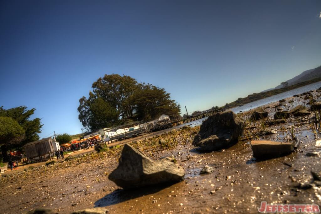 Tomales Bay Oyster Company