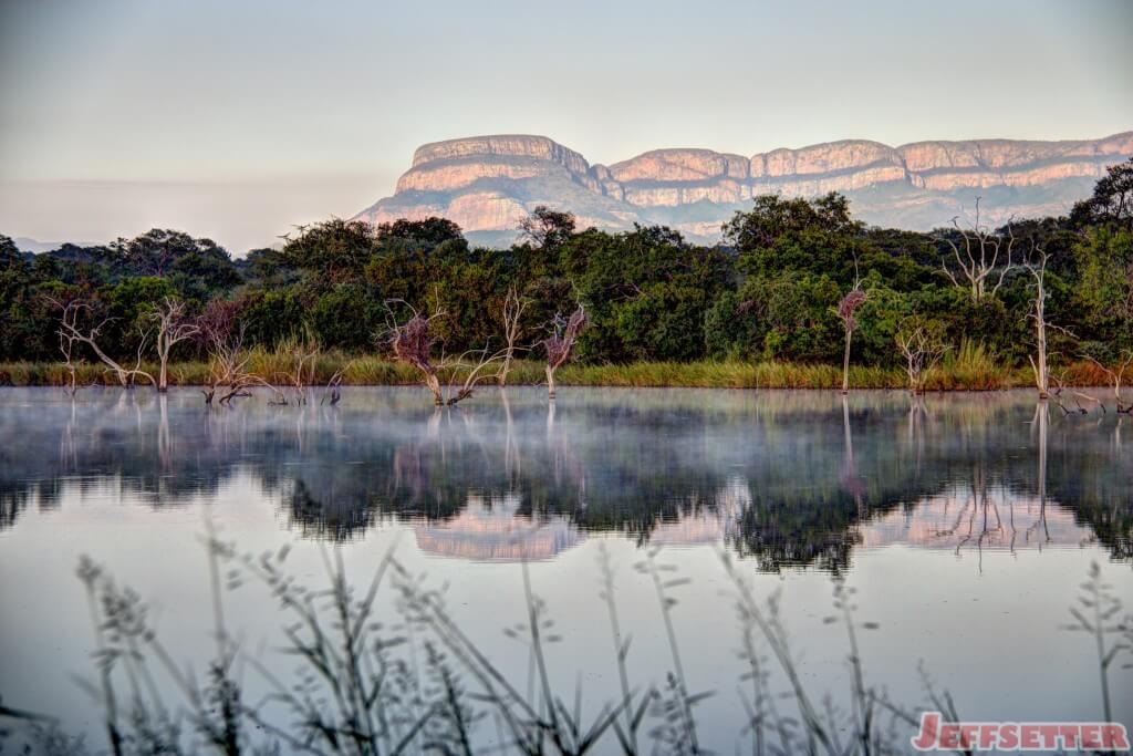 Early Morning Safari in South Africa