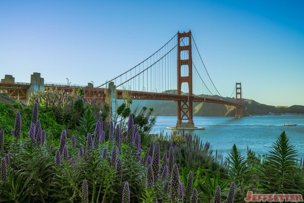 Golden Gate Bridge Wildflowers