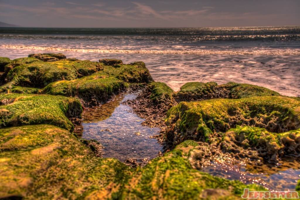 Mini Tide Pool Drakes Beach