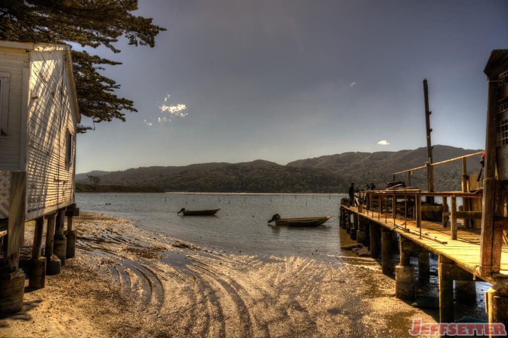 Oyster Unloading in Tomales Bay, California