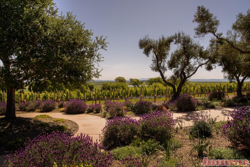 Spring in Sonoma County