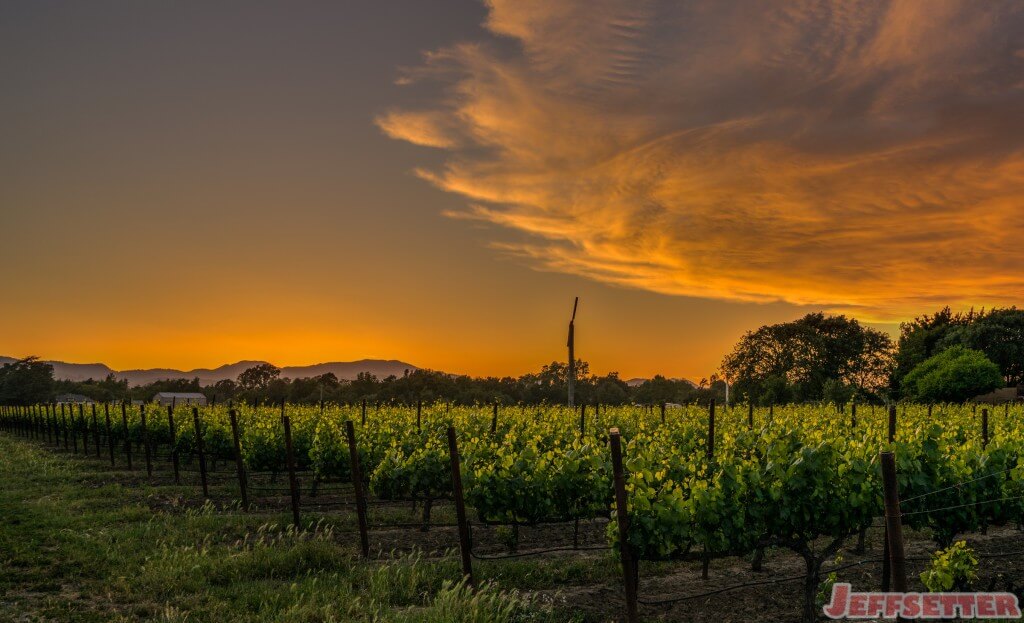 Sunset in Yountville - Napa Valley-2