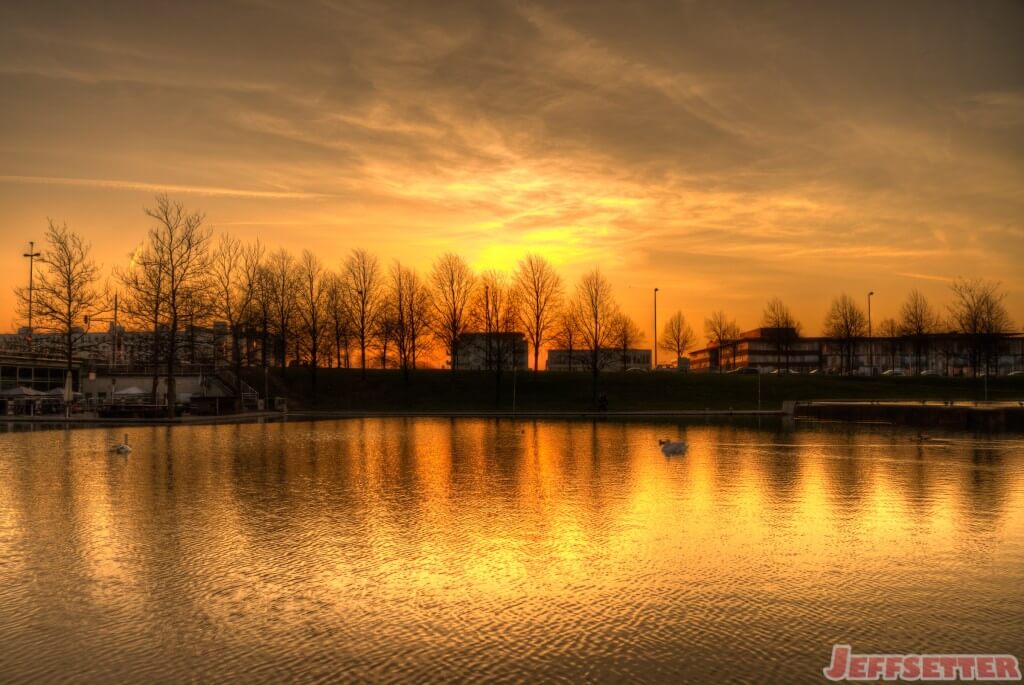 Swans at Sunset in Munich