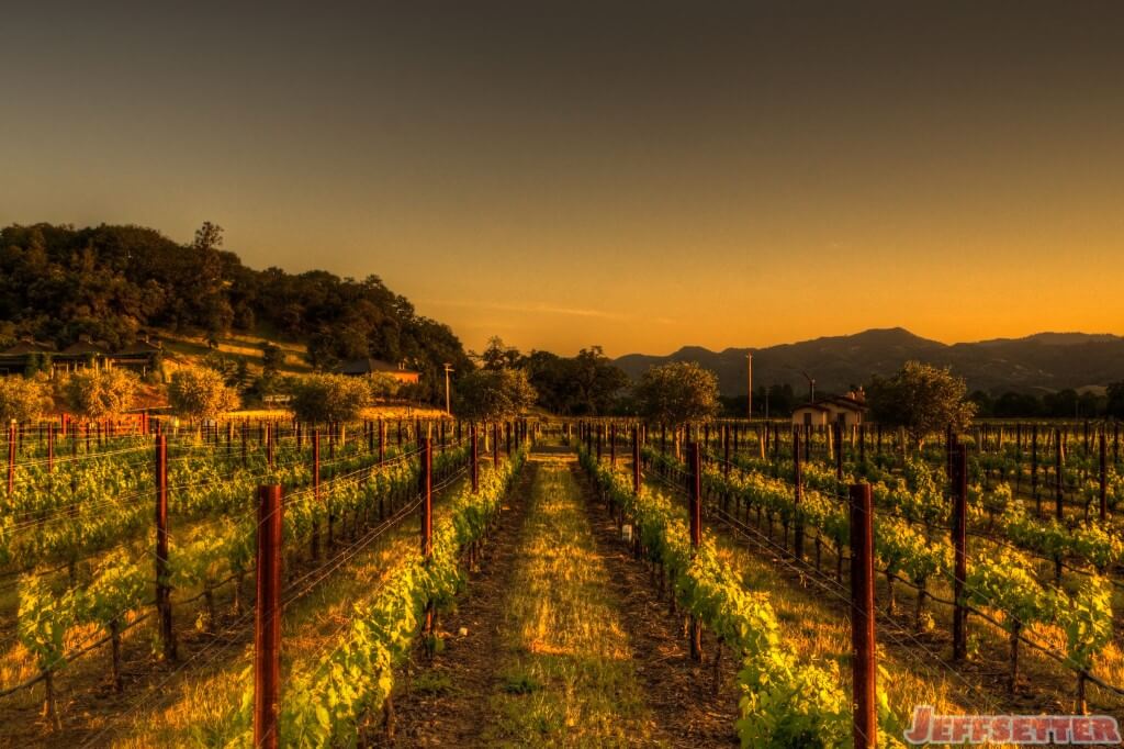 Wine Country Sunset