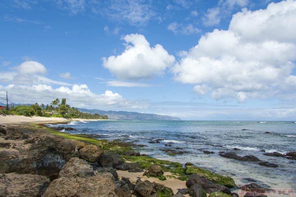 Laniakea Beach 