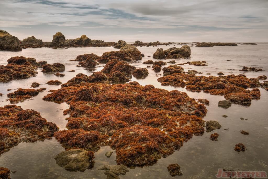 MacKerricher State Beach