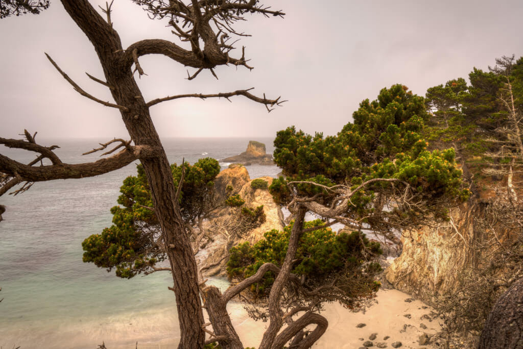 Mendocino Beach Surprise-2