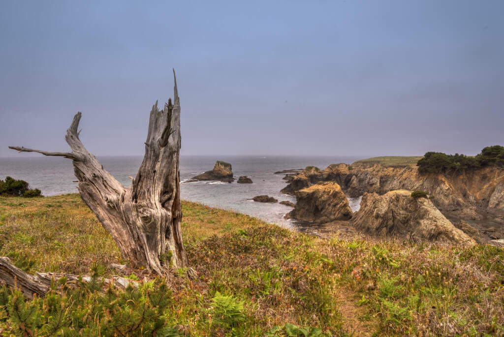 Mendocino Beach Surprise-4