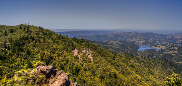 Mount Tamalpais Hike