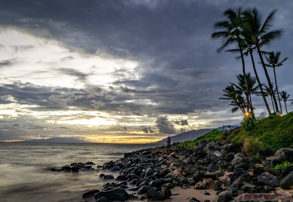 Maui Sunset Palms