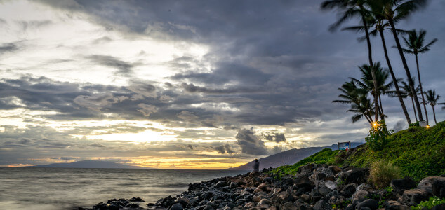 Maui Sunset Palms