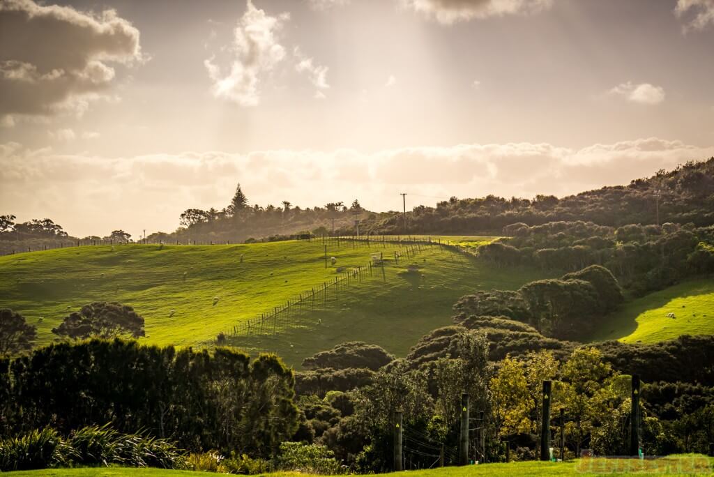 Cable Bay Winery-1-2