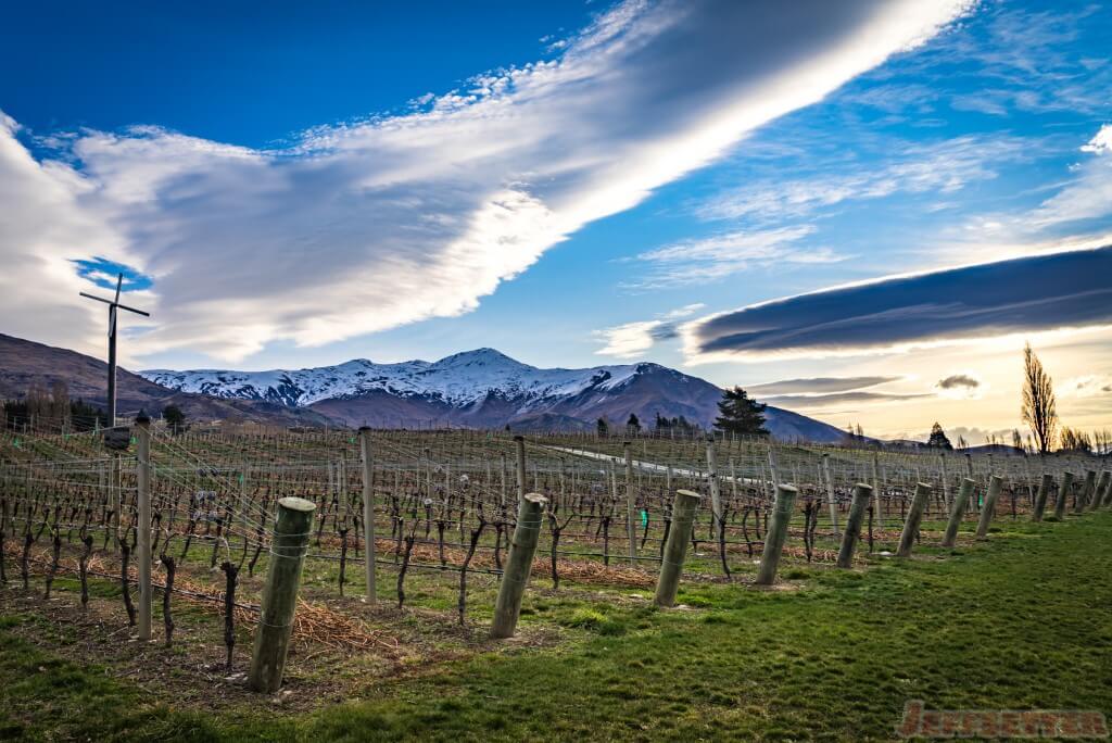 Gibbston Valley-5