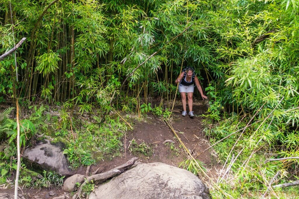 Hana Bamboo Forest Hike-16