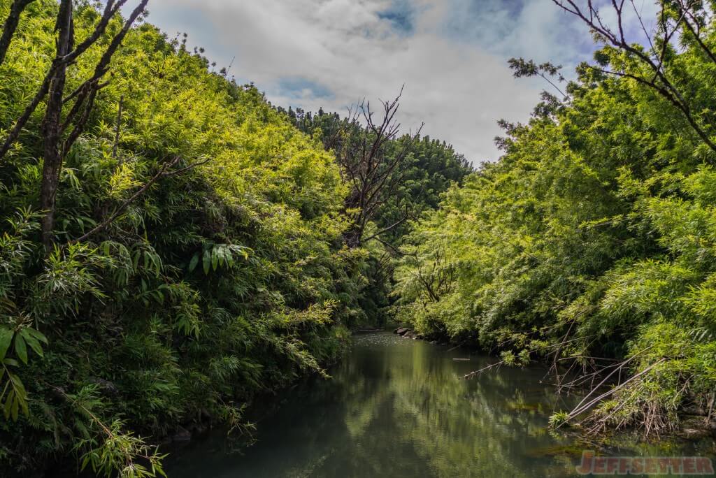 Hana Bamboo Forest Hike-17