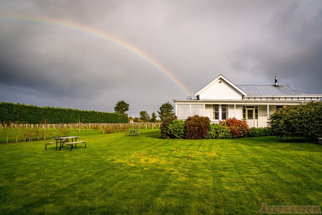 Martinborough Winery-1