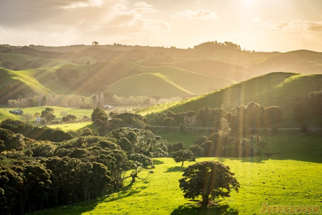 Waiheke Island Landscapes-1