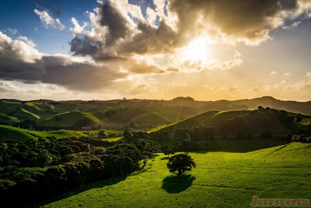 Waiheke Island Landscapes-2