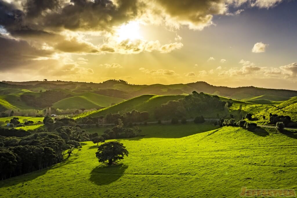 Waiheke Island Landscapes-4