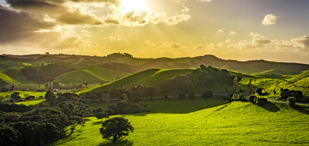 A Few Beautiful Landscapes of Waiheke Island in New Zealand