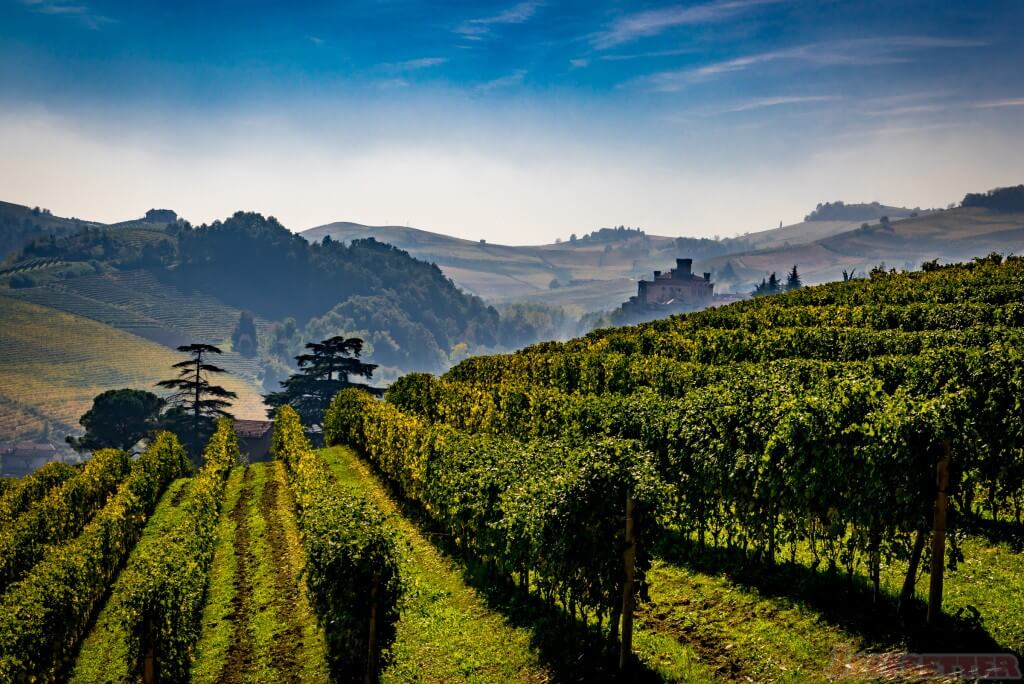 A castle in Barolo-1