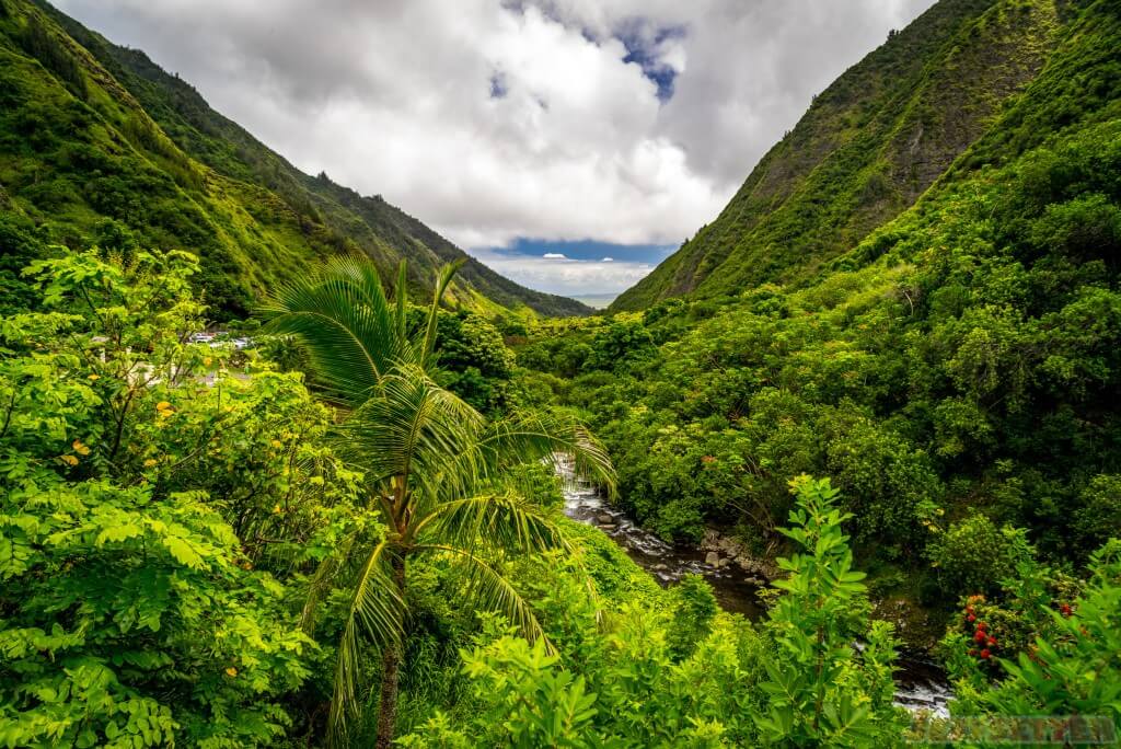 Iao Valley-311