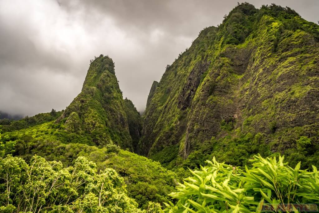 Iao Valley-313