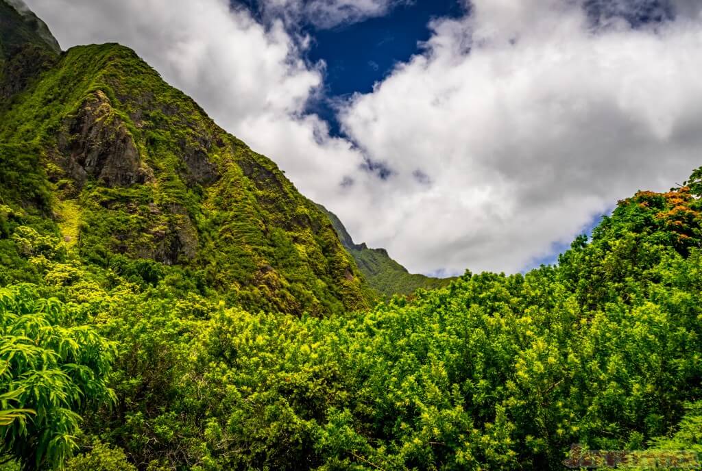 Iao Valley-317